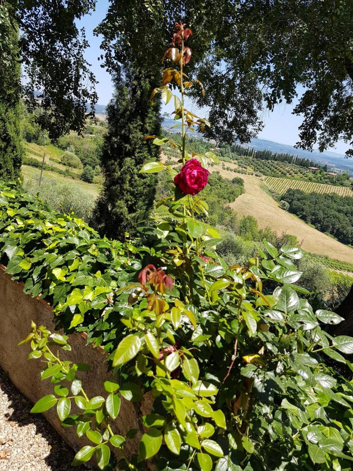 Il Leccio - Casa Toscana San Gimignano Gambassi Terme Exterior foto