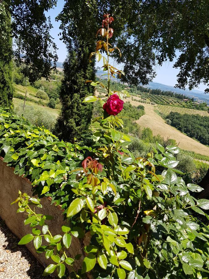 Il Leccio - Casa Toscana San Gimignano Gambassi Terme Exterior foto